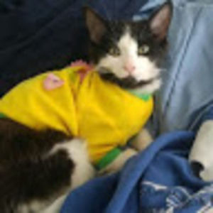 Meet your Posher, Alex